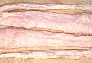 CE Export Hog Bung Casings