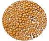 Mustard Seed Whole